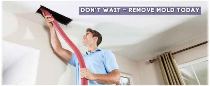 Air Duct Mold Removal in Bartlett IL